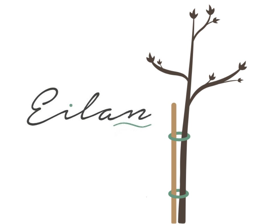 eilan - tuteur des structures ESS